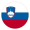 Прогнозы на матчи Словения СЛО