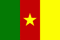 Прогнозы на матчи Камерун