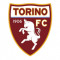 Прогнозы на матчи Торино до 19